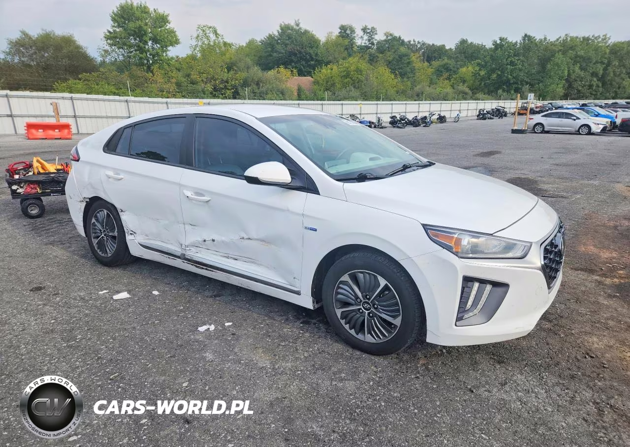 2020 Hyundai Ioniq Se VIN:KMHC65LD0LU217919 - 4
