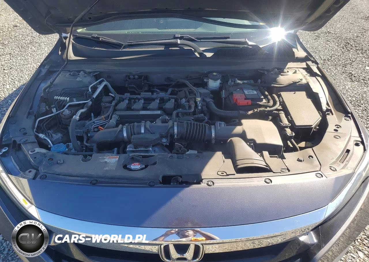 2019 Honda Accord Ex VIN:1HGCV1F44KA126293 - 11