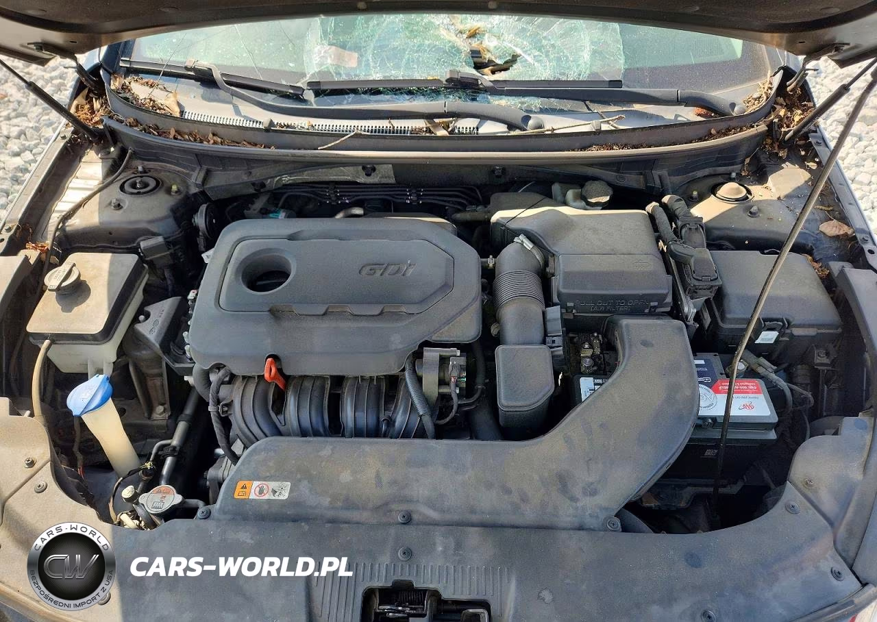 2015 Hyundai Sonata Se VIN:5NPE24AF2FH259305 - 11
