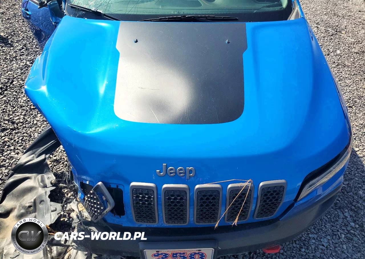 2019 Jeep Cherokee Trailhawk VIN:1C4PJMBX0KD477102 - 12
