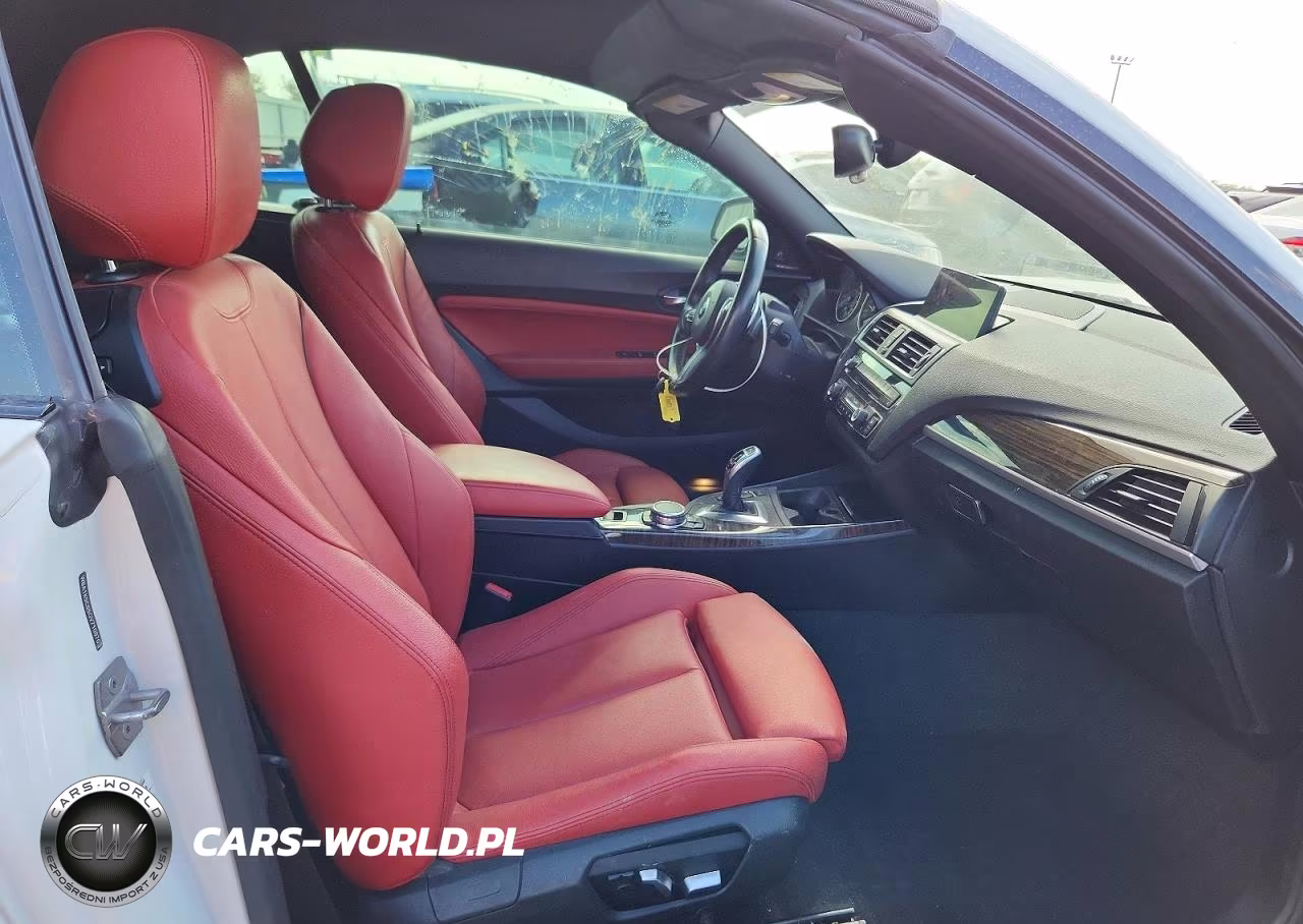 2016 BMW 228 I Sulev VIN:WBA1K9C55GV710970 - 10