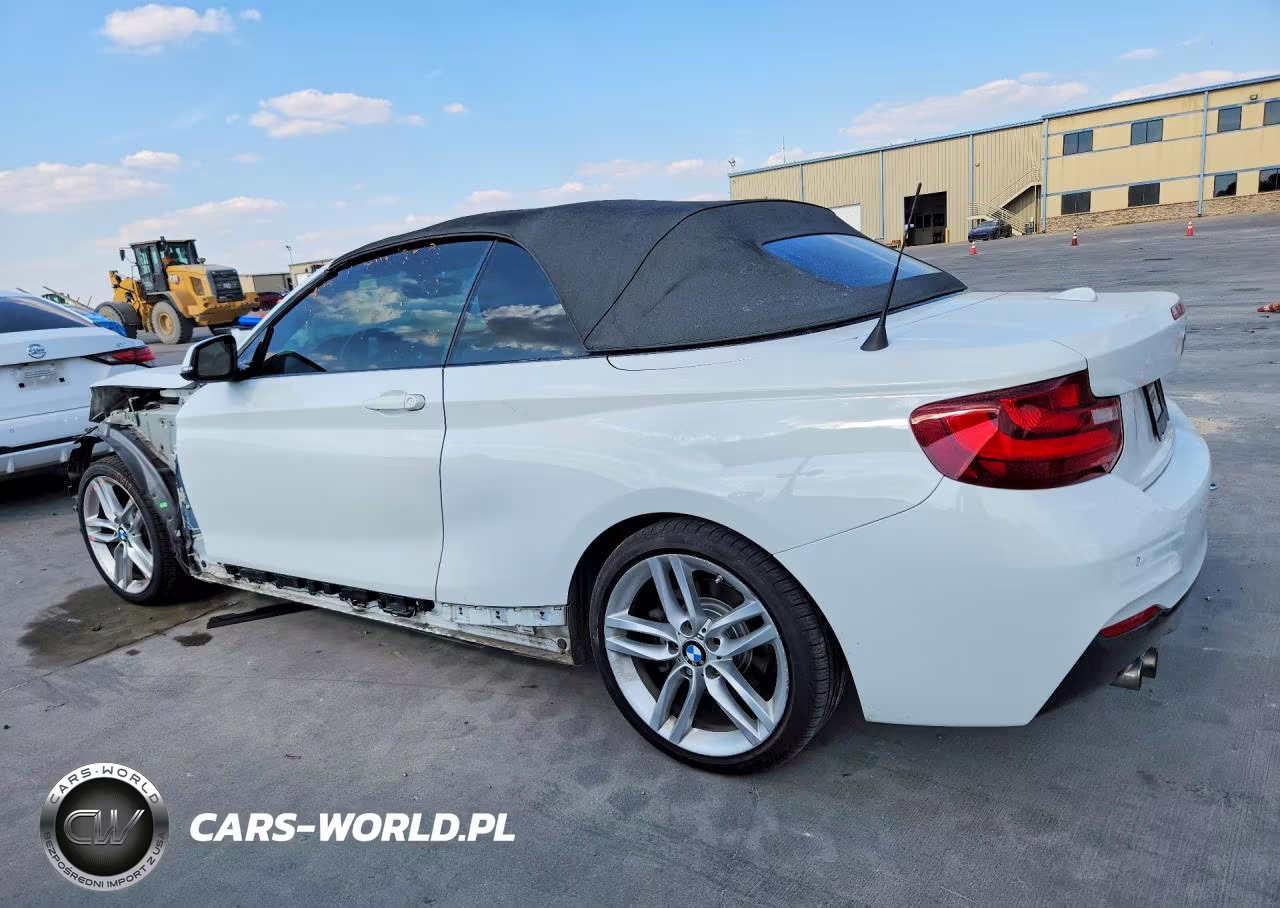 2016 BMW 228 I Sulev VIN:WBA1K9C55GV710970 - 2