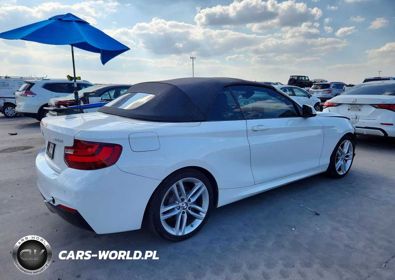 2016 BMW 228 I Sulev VIN:WBA1K9C55GV710970 - 3