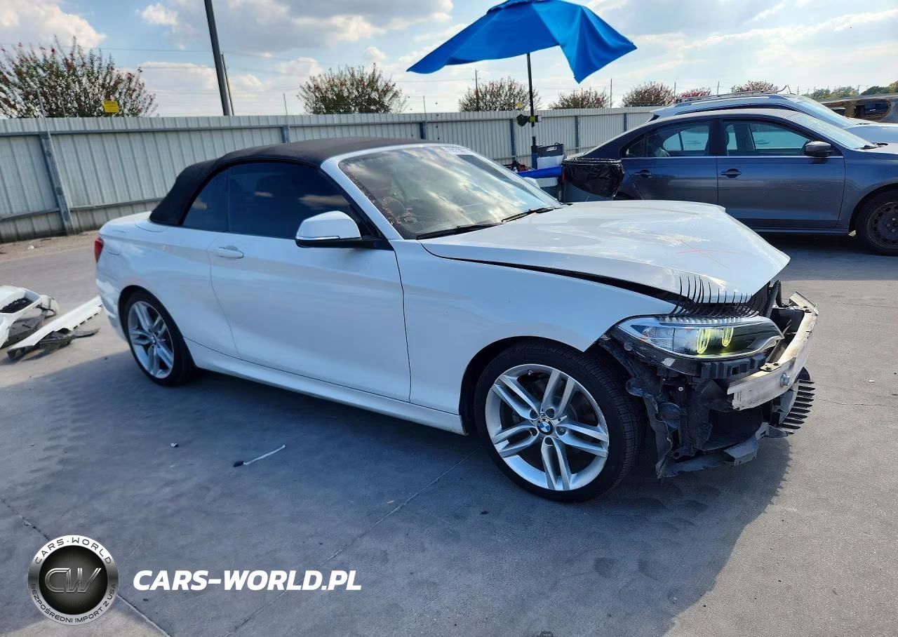 2016 BMW 228 I Sulev VIN:WBA1K9C55GV710970 - 4