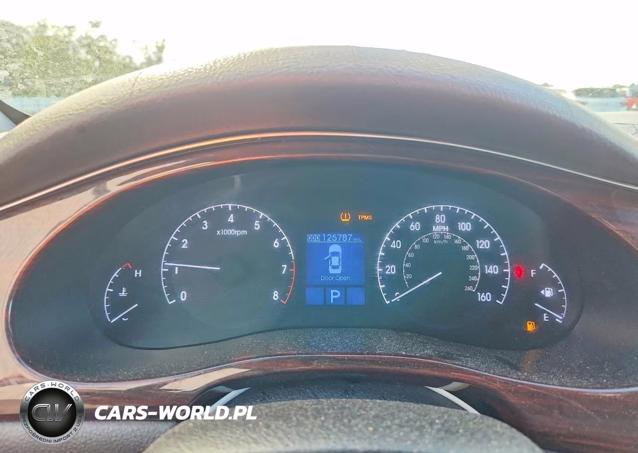 2013 Hyundai Genesis 3.8L VIN:KMHGC4DD6DU249942 - 9