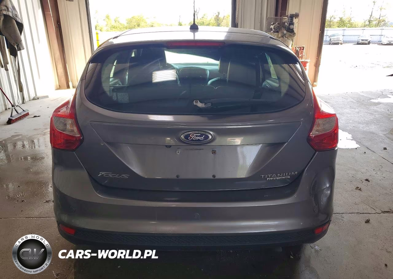 2013 Ford Focus Titanium VIN:1FADP3N23DL283285 - 6