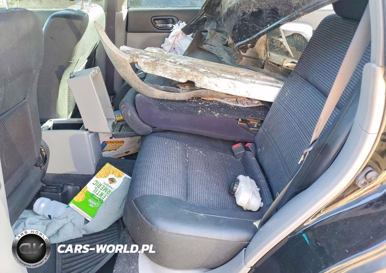 2004 Subaru Forester 2.5Xt VIN:JF1SG69604H706137 - 11