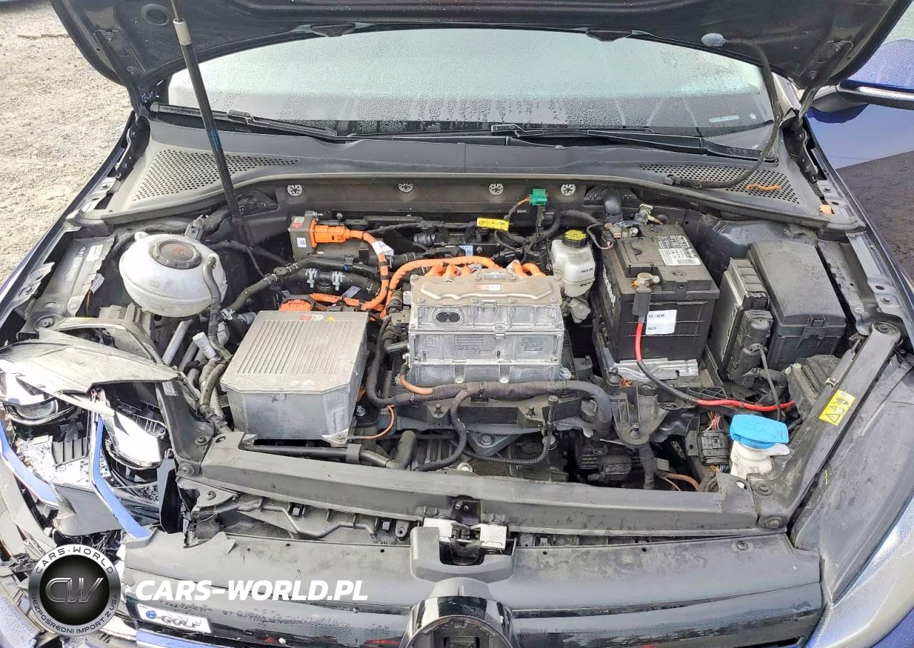 2019 Volkswagen E-Golf Sel Premium VIN:WVWPR7AU9KW910681 - 12