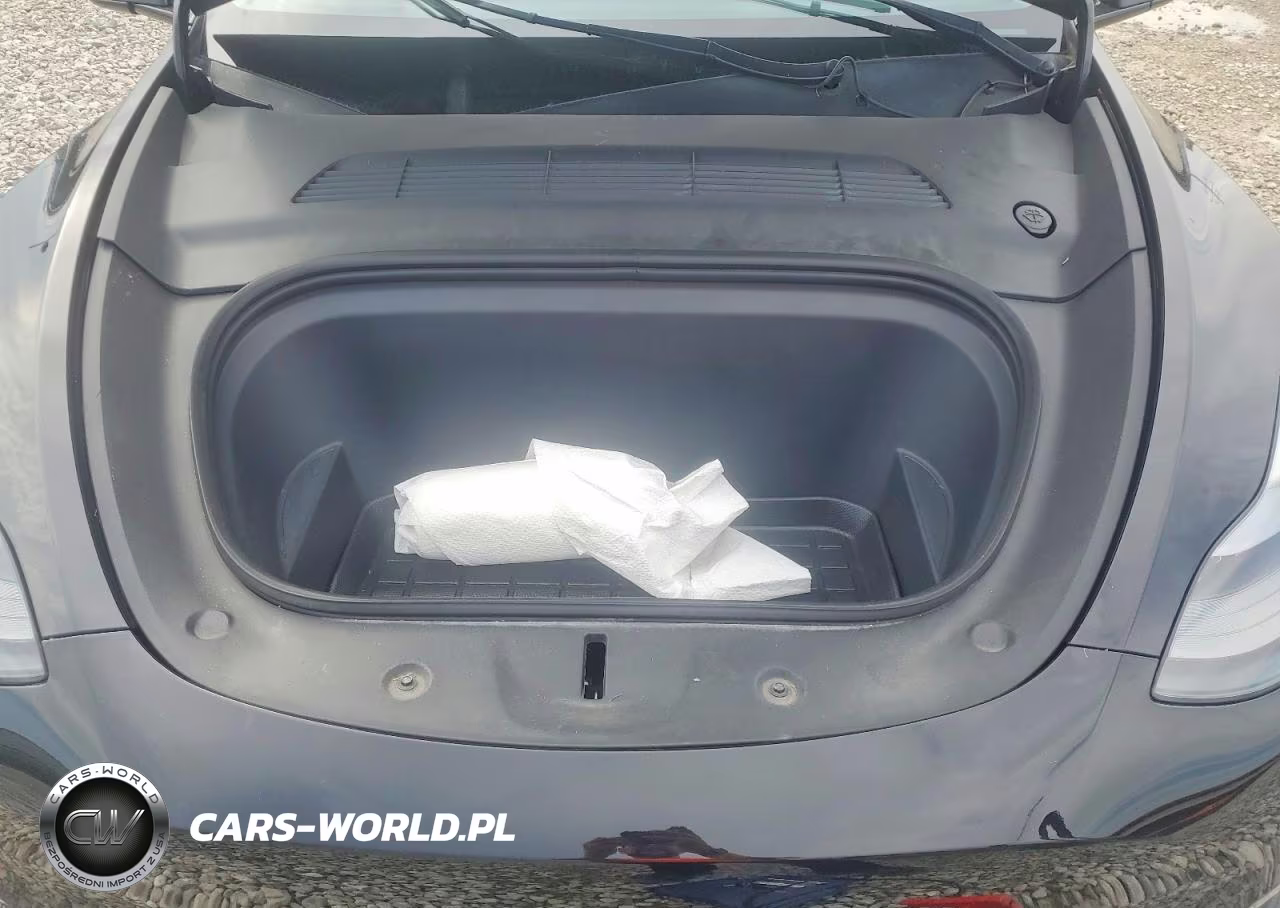 2023 Tesla Model Y VIN:7SAYGDEE5PA177665 - 11