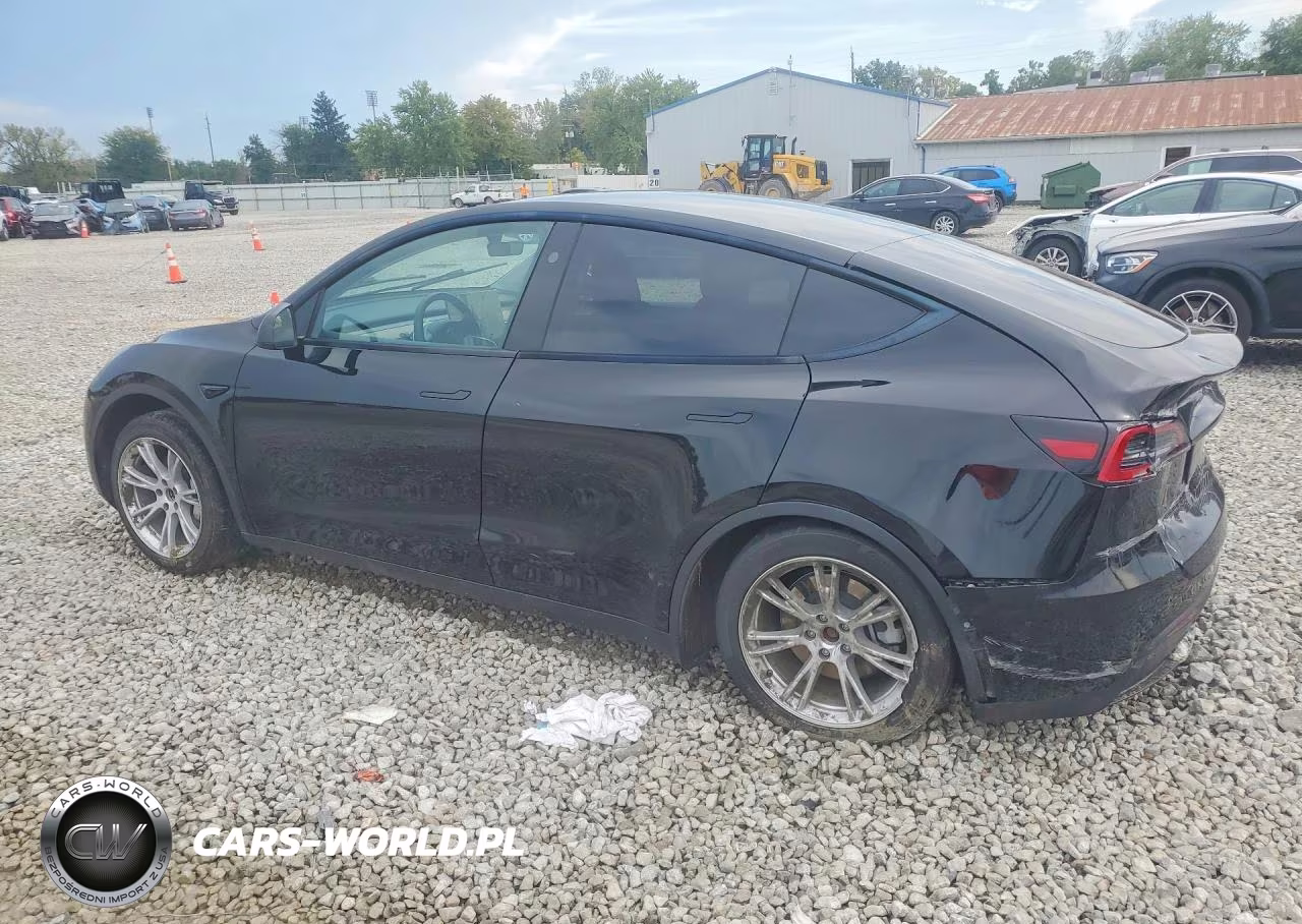 2023 Tesla Model Y VIN:7SAYGDEE5PA177665 - 2