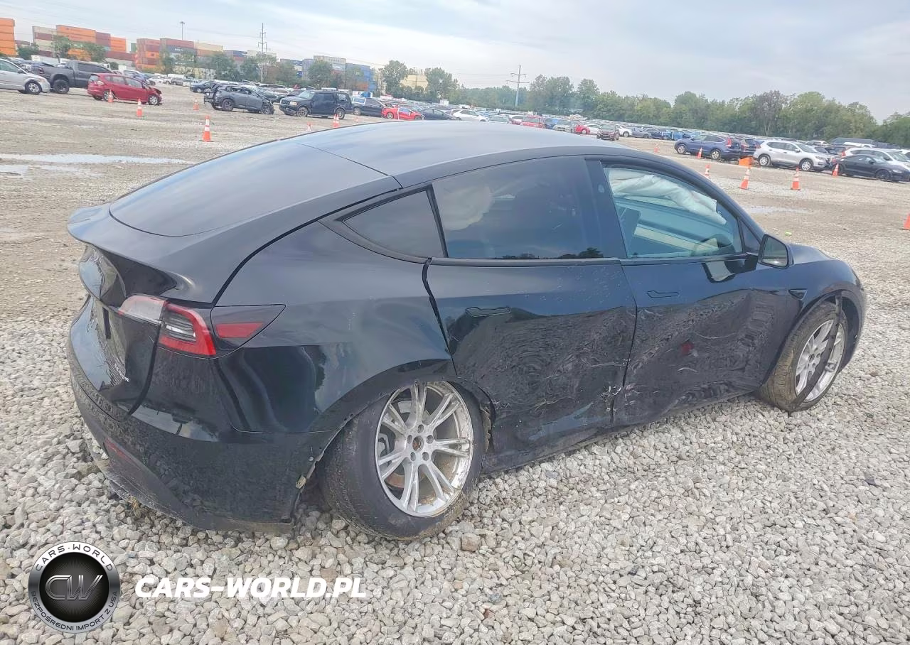 2023 Tesla Model Y VIN:7SAYGDEE5PA177665 - 3
