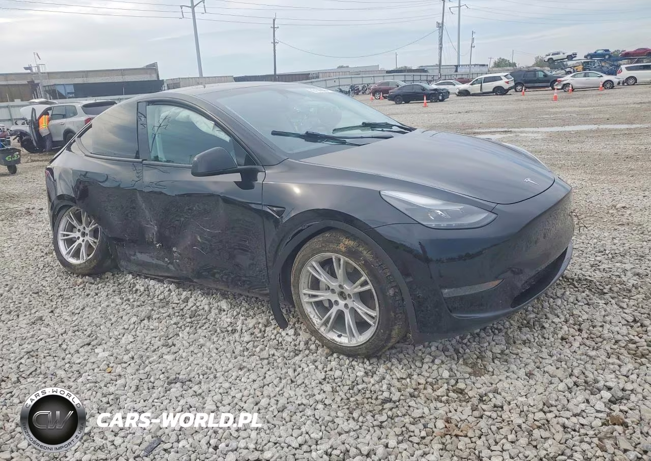 2023 Tesla Model Y VIN:7SAYGDEE5PA177665 - 4