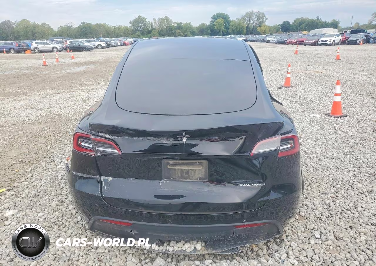 2023 Tesla Model Y VIN:7SAYGDEE5PA177665 - 6