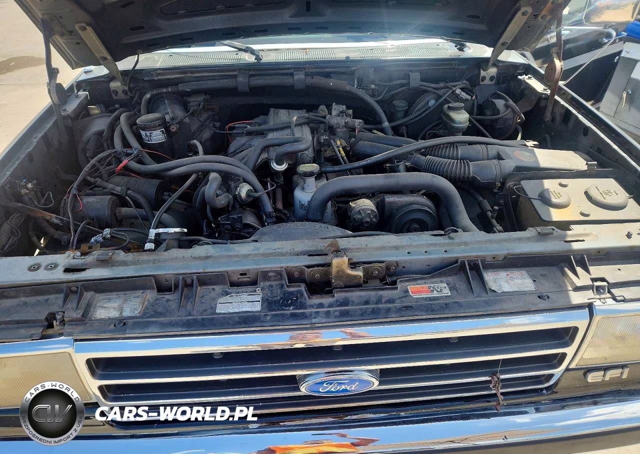 1991 Ford F150 VIN:1FTDF15Y3MLA65465 - 11