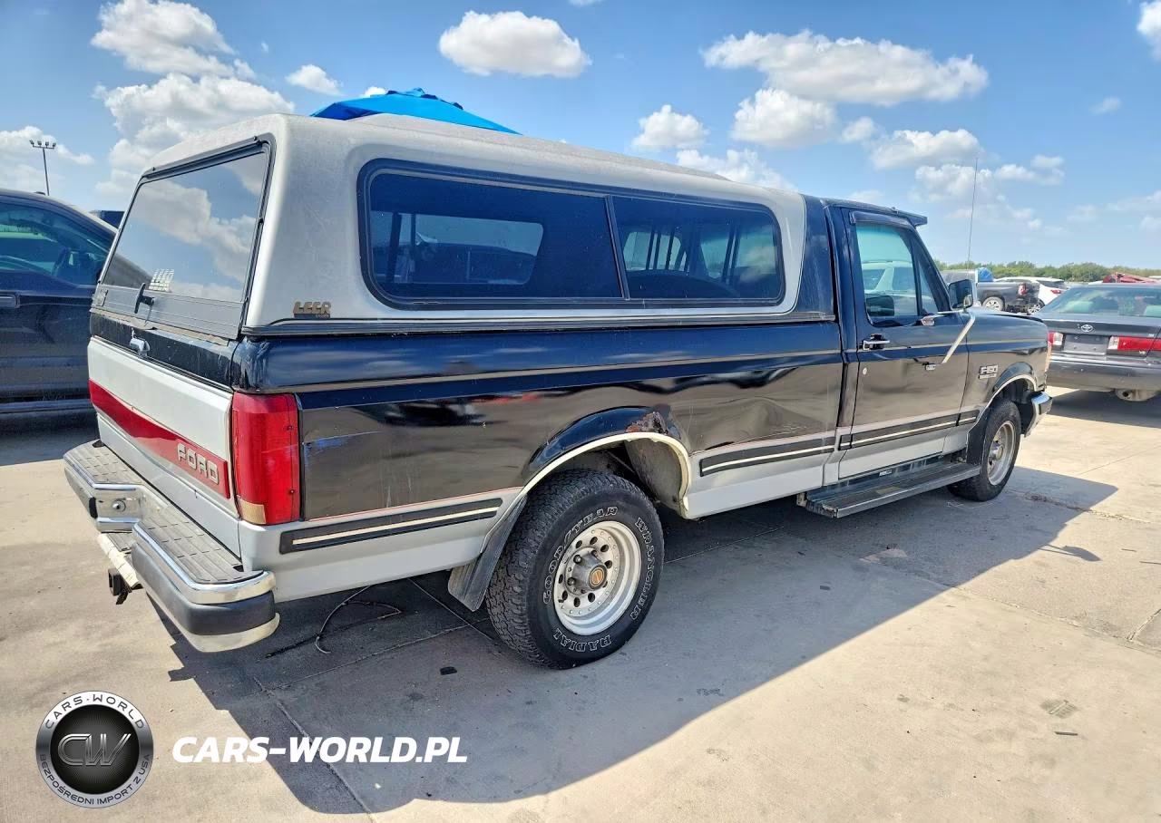 1991 Ford F150 VIN:1FTDF15Y3MLA65465 - 3