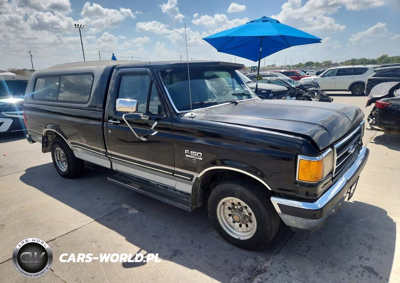 1991 Ford F150 VIN:1FTDF15Y3MLA65465 - 4