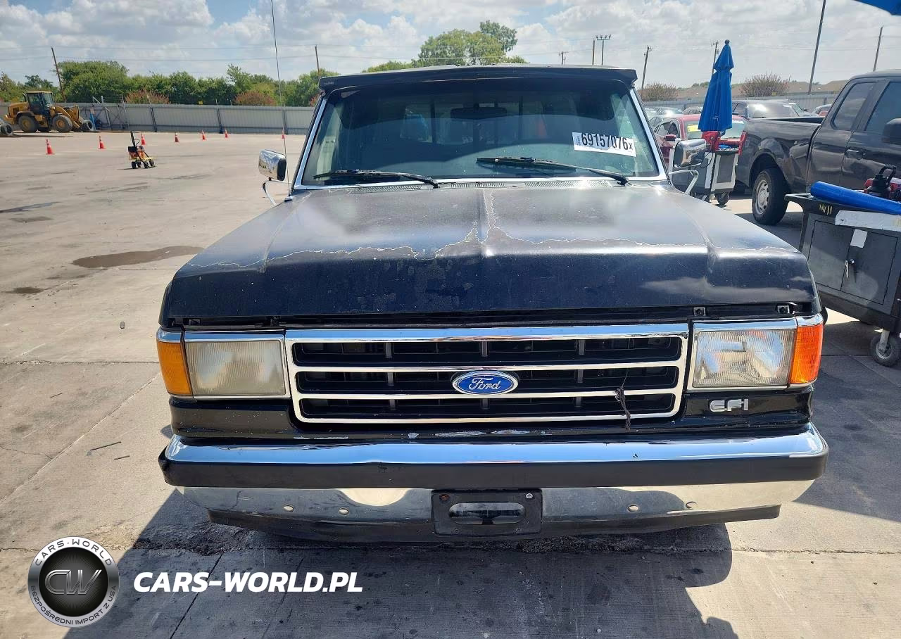 1991 Ford F150 VIN:1FTDF15Y3MLA65465 - 5