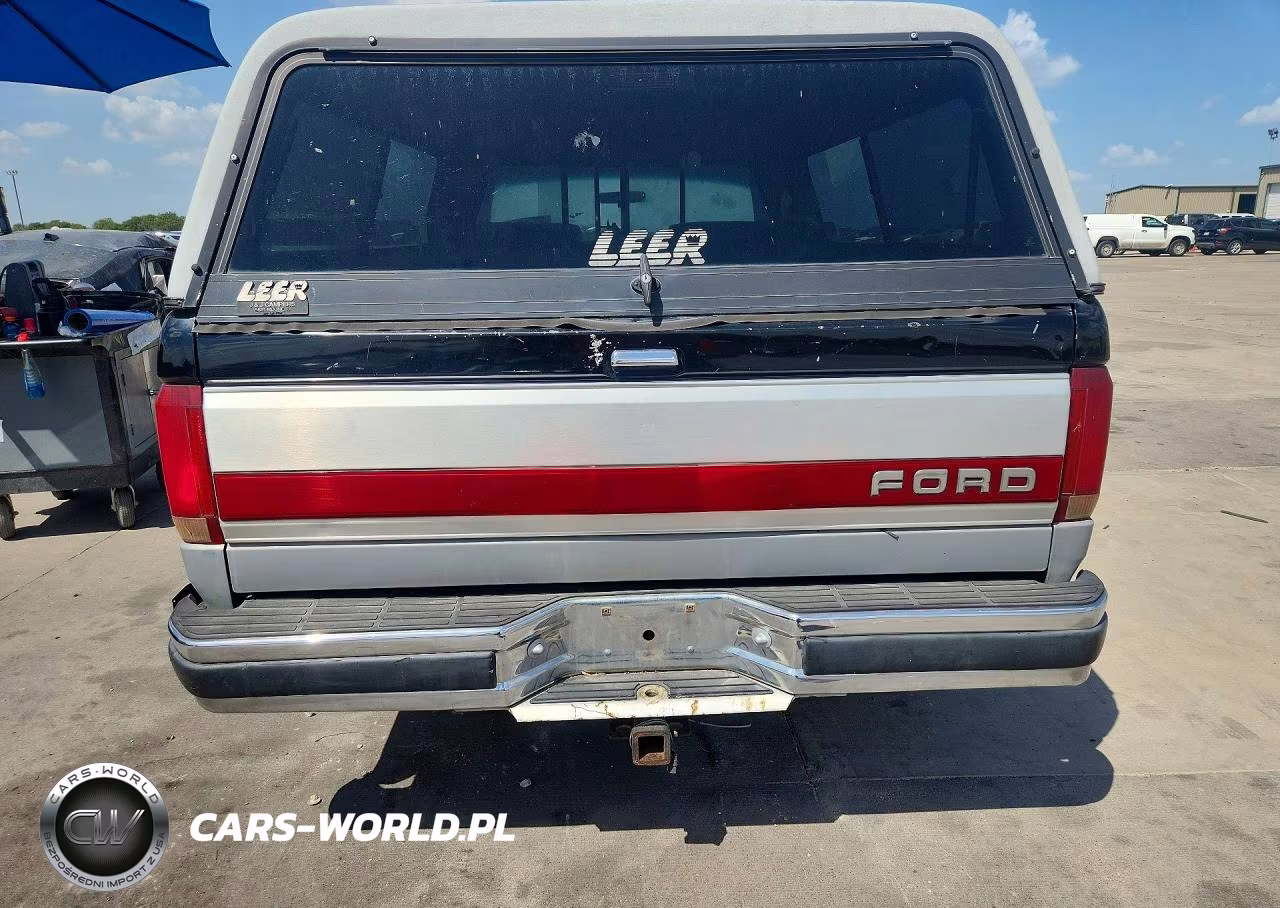 1991 Ford F150 VIN:1FTDF15Y3MLA65465 - 6