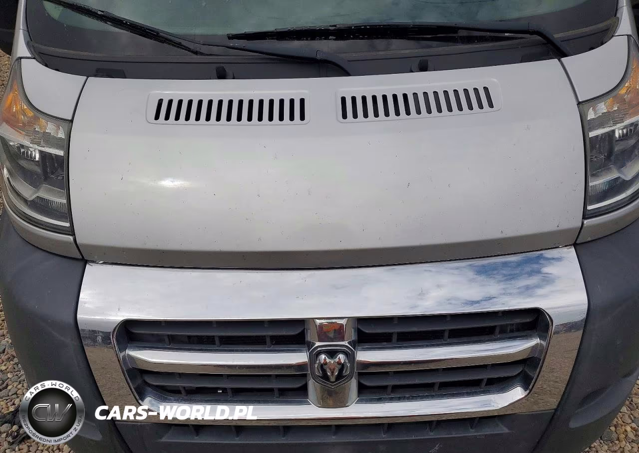 2018 Ram Promaster 2500 2500 High VIN:3C6TRVDG1JE101863 - 12