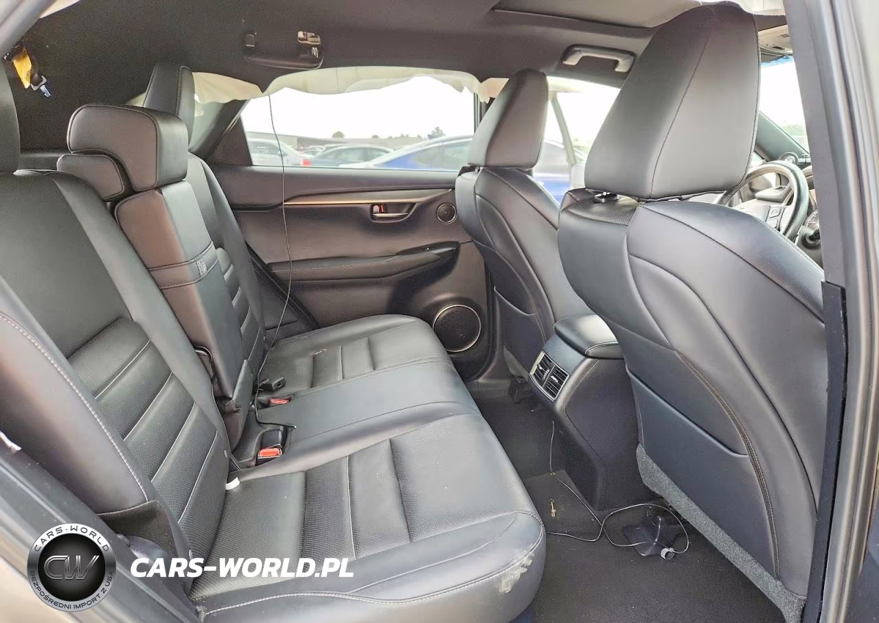 2018 Lexus Nx 300 F Sport VIN:JTJYARBZXJ2088185 - 10