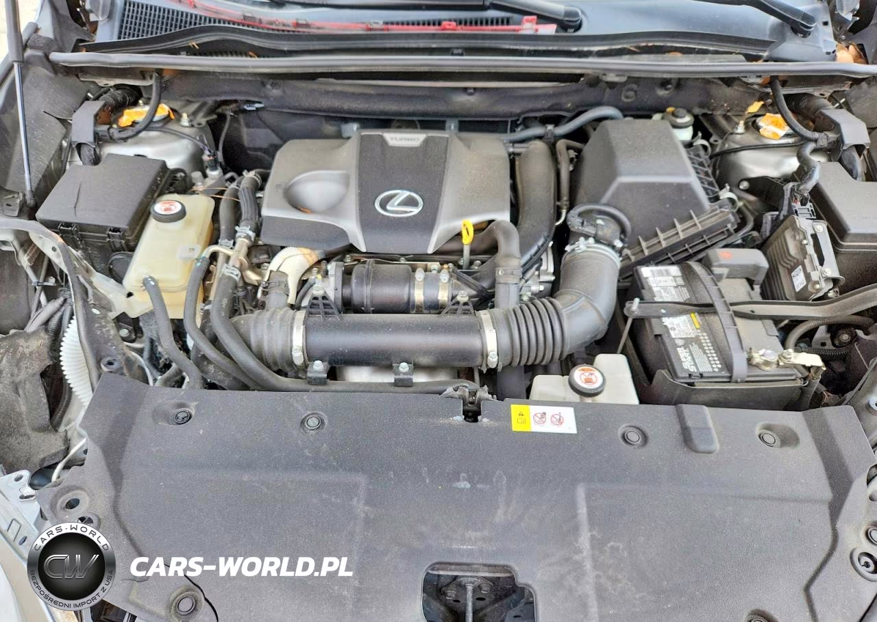 2018 Lexus Nx 300 F Sport VIN:JTJYARBZXJ2088185 - 11