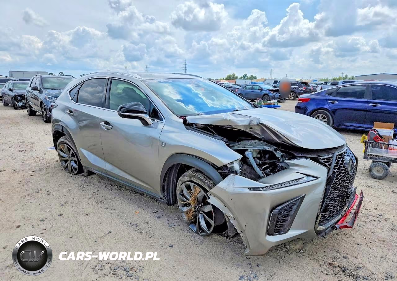 2018 Lexus Nx 300 F Sport VIN:JTJYARBZXJ2088185 - 4