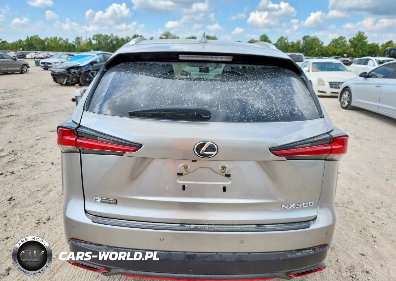 2018 Lexus Nx 300 F Sport VIN:JTJYARBZXJ2088185 - 6
