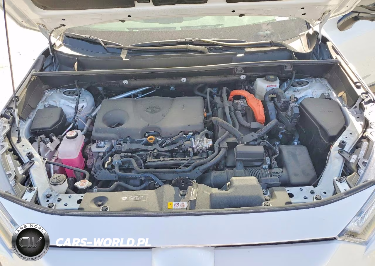 2025 Toyota Rav4 Xse VIN:4T3E6RFV3SU184781 - 12