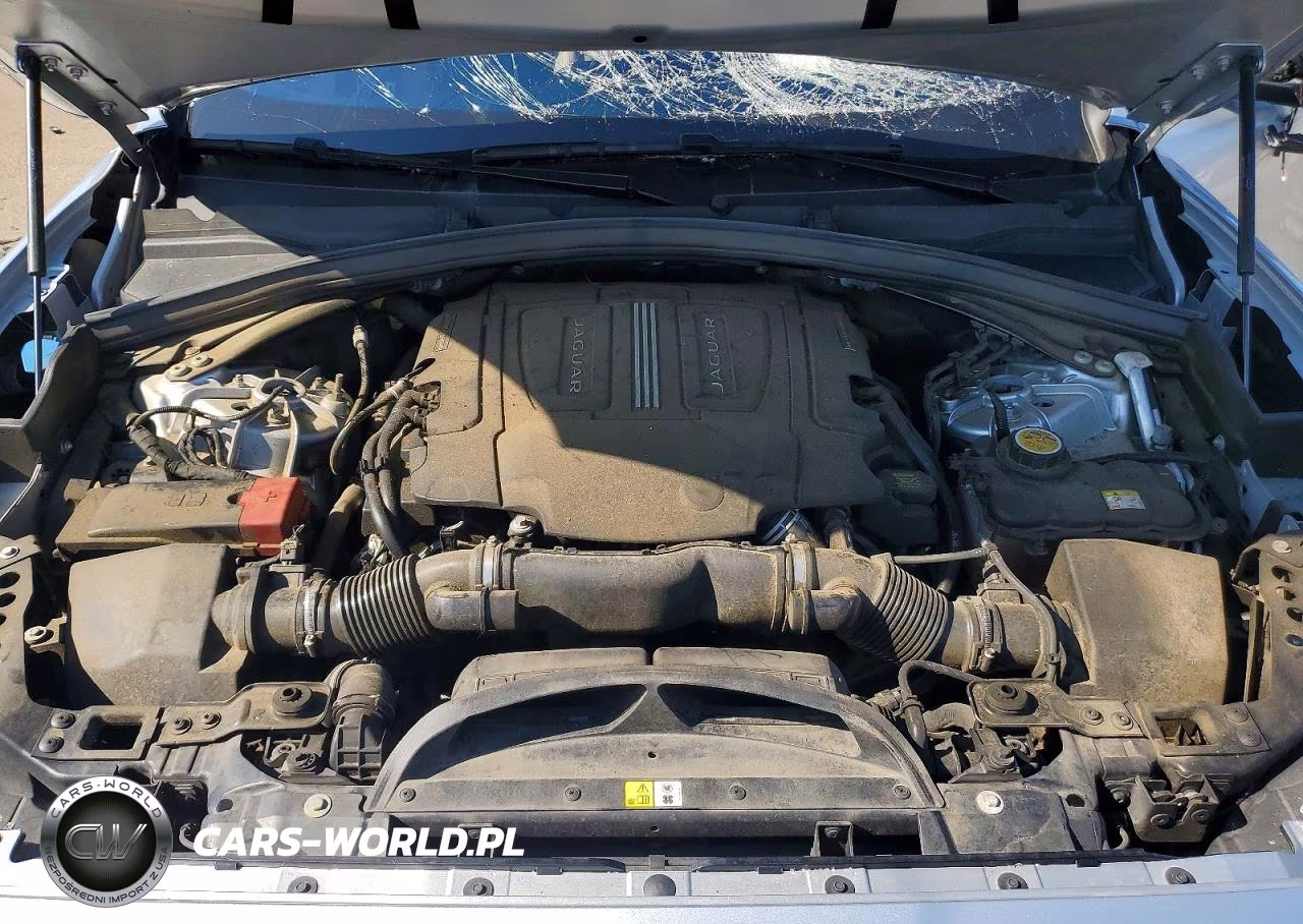 2019 Jaguar F-Pace S VIN:SADCM2FV1KA367720 - 12
