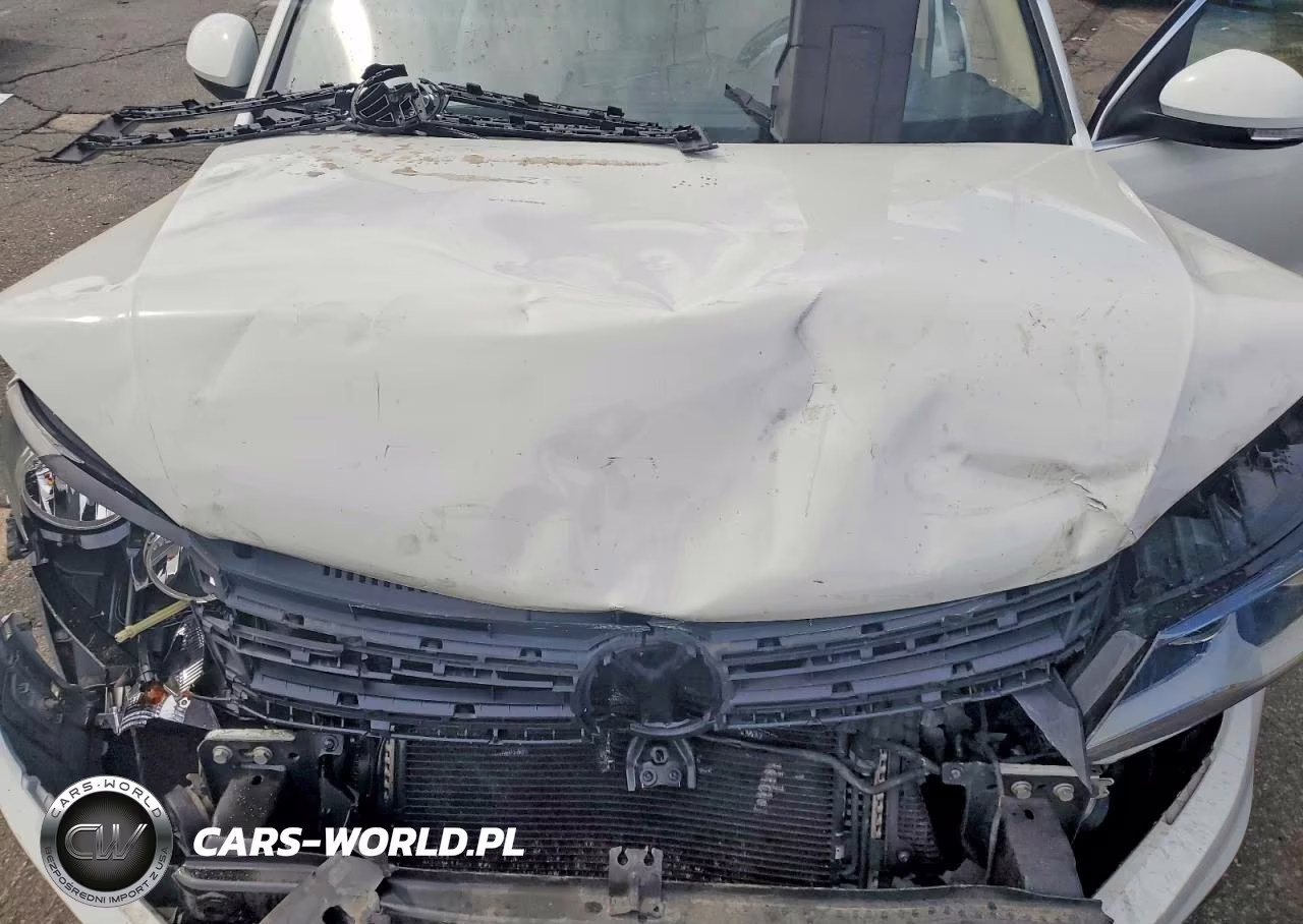 2015 Volkswagen Tiguan S VIN:WVGBV7AXXFW581653 - 11