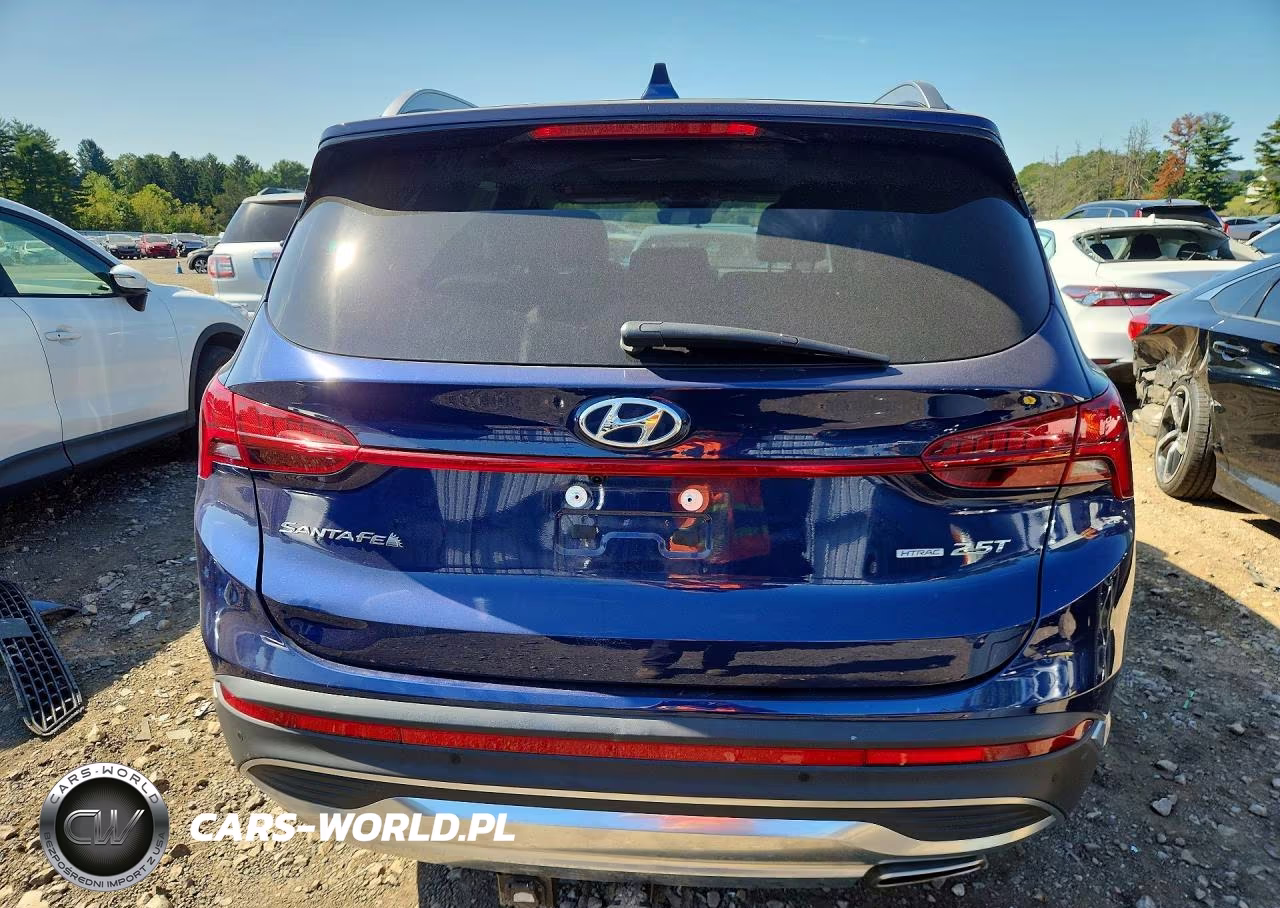 2022 Hyundai Santa Fe Limited VIN:5NMS4DAL0NH462384 - 6