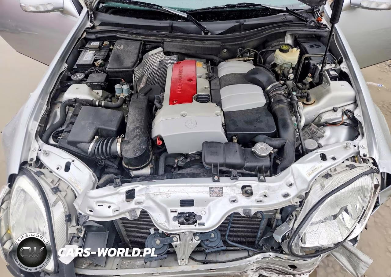 2001 Mercedes-Benz Slk 230 Kompressor VIN:WDBKK49F71F228642 - 11
