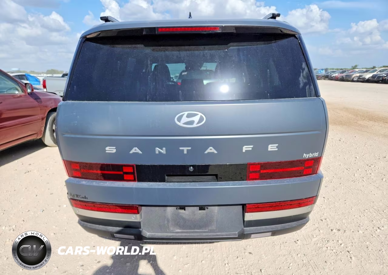 2024 Hyundai Santa Fe Limited VIN:5NMP34G10RH012965 - 6