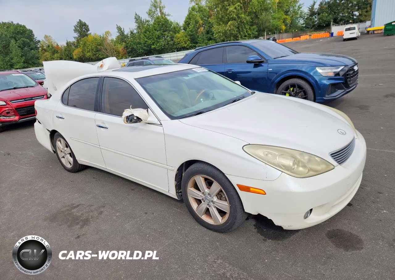2005 Lexus Es 330 VIN:JTHBA30G655130443 - 4