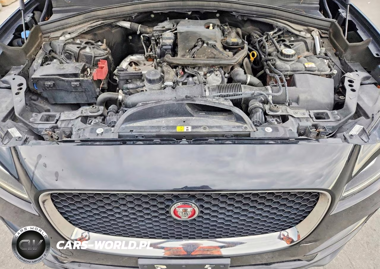 2019 Jaguar F-Pace Premium VIN:SADCJ2FX7KA391207 - 12