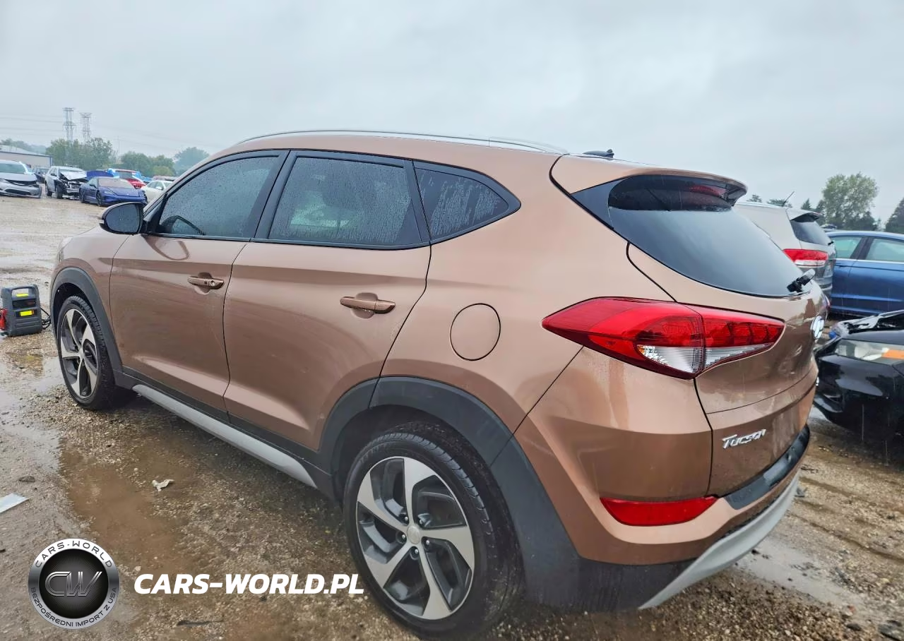 2017 Hyundai Tucson Sport VIN:KM8J33A23HU352180 - 2