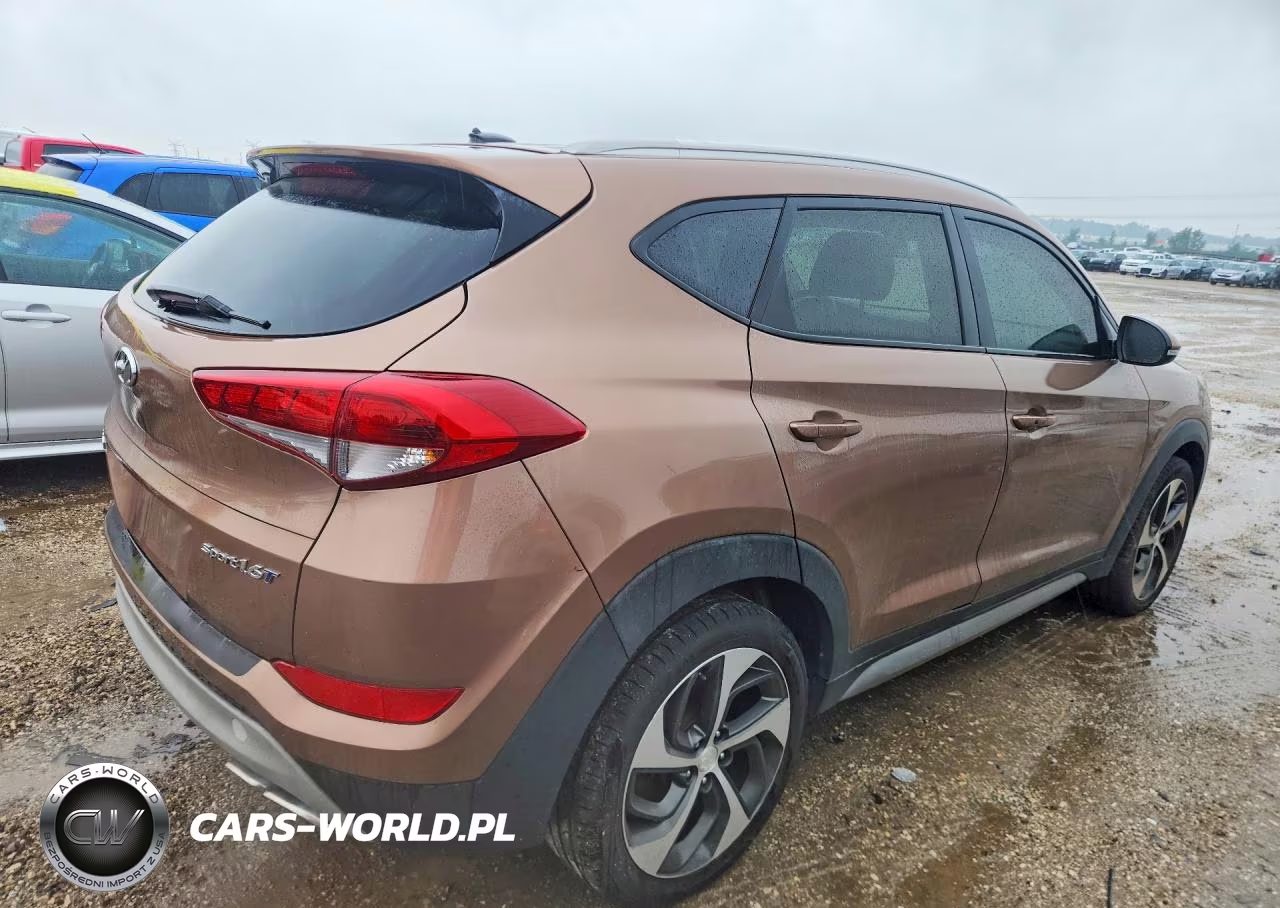 2017 Hyundai Tucson Sport VIN:KM8J33A23HU352180 - 3