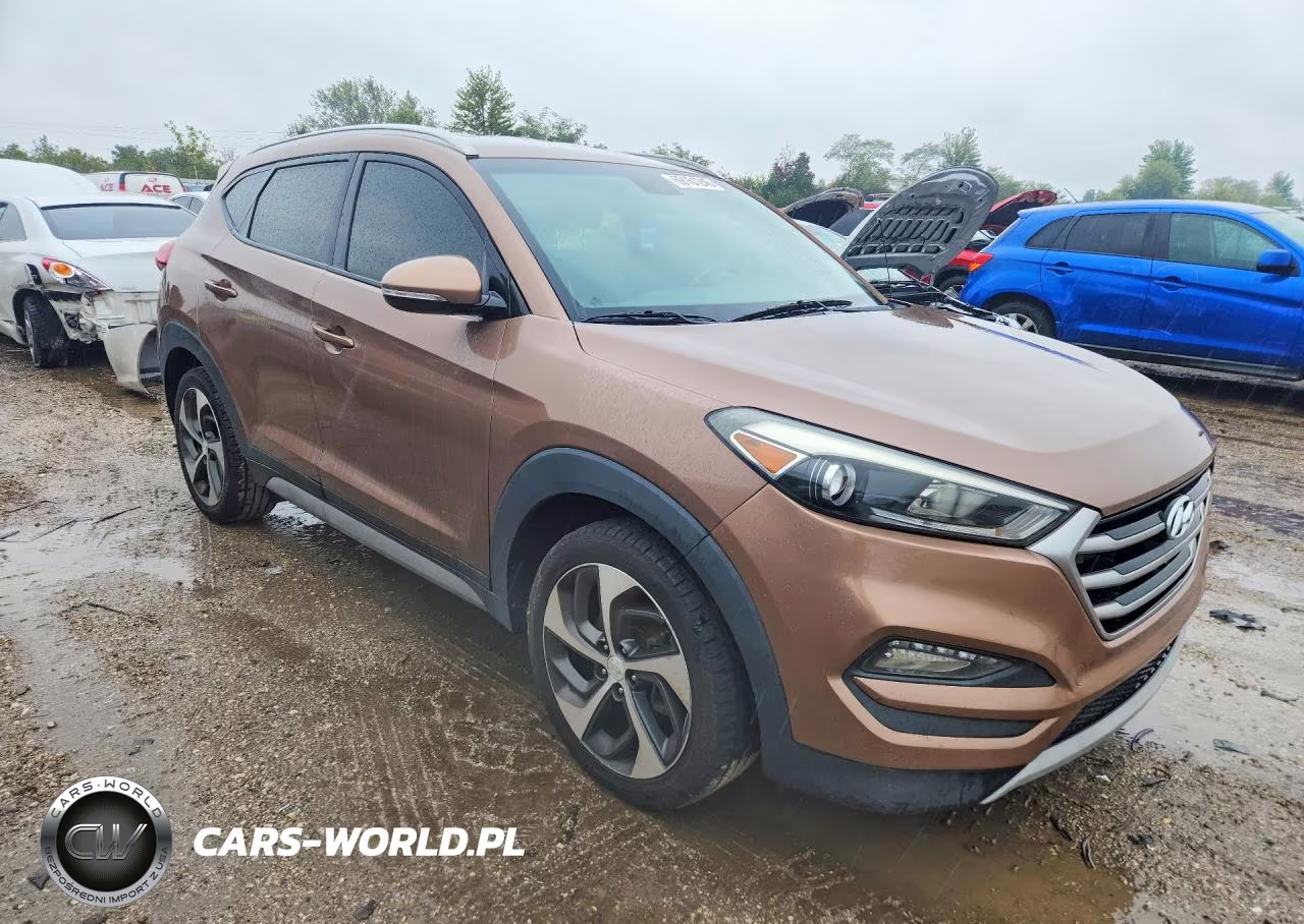 2017 Hyundai Tucson Sport VIN:KM8J33A23HU352180 - 4