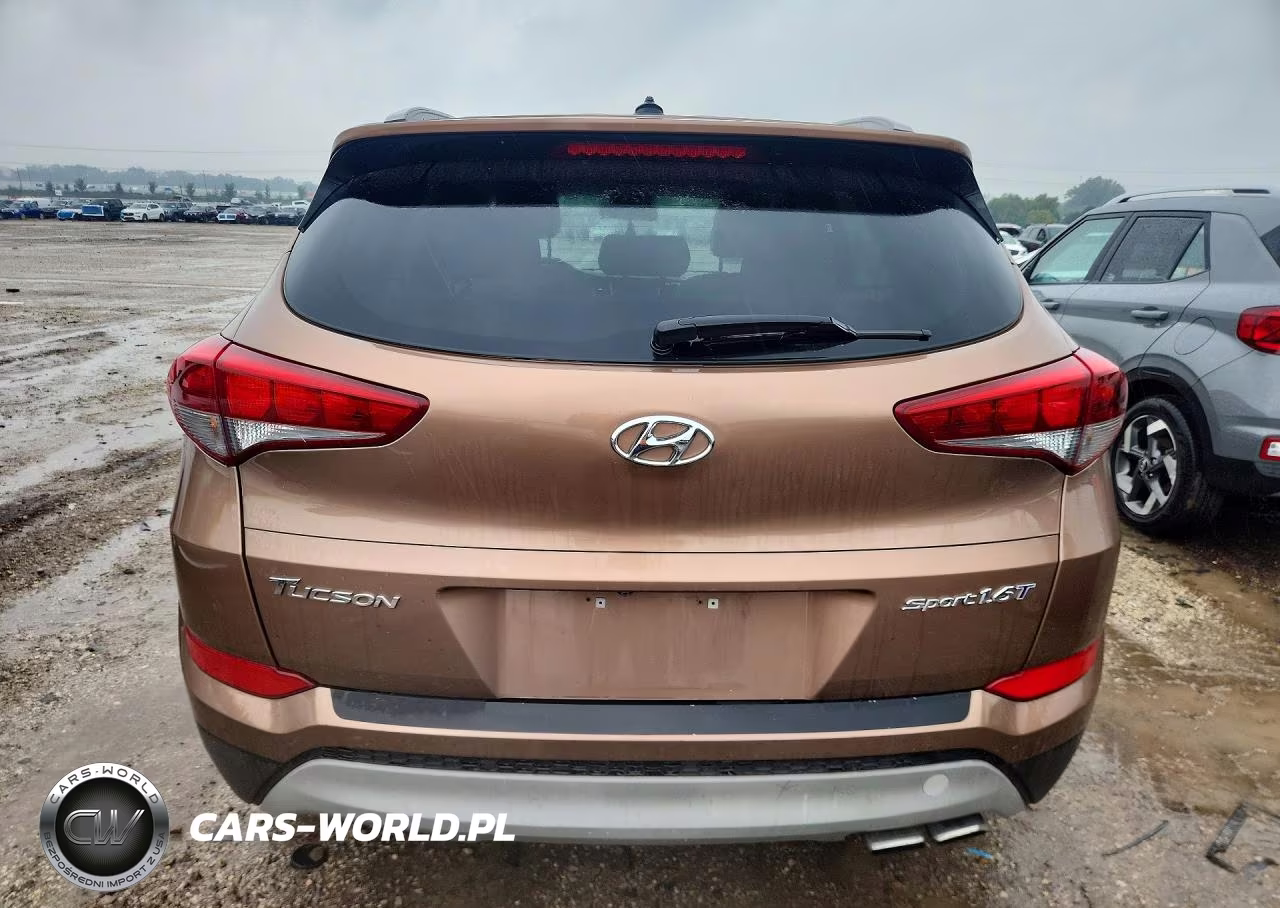 2017 Hyundai Tucson Sport VIN:KM8J33A23HU352180 - 6