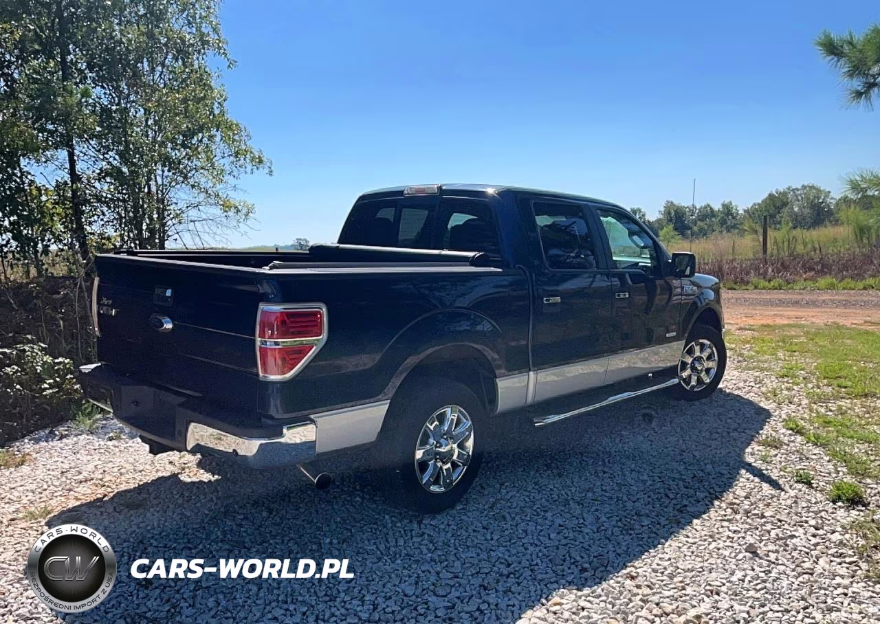 2013 Ford F150 Supercrew VIN:1FTFW1CT4DFA01157 - 4