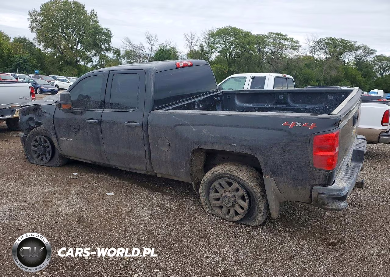 2018 Chevrolet Silverado K2500 Heavy Duty VIN:1GC2KUEY2JZ305943 - 2