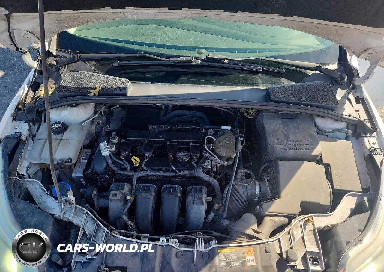 2014 Ford Focus Se VIN:1FADP3K23EL177568 - 11