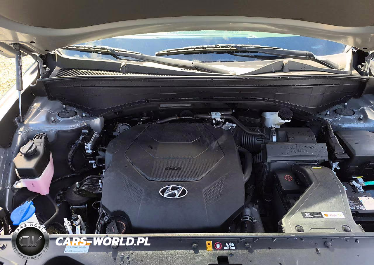 2024 Hyundai Palisade Sel Premium VIN:KM8R44GE0RU686191 - 14