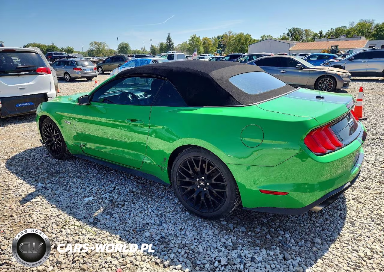 2019 Ford Mustang Gt VIN:1FATP8FF9K5186877 - 2