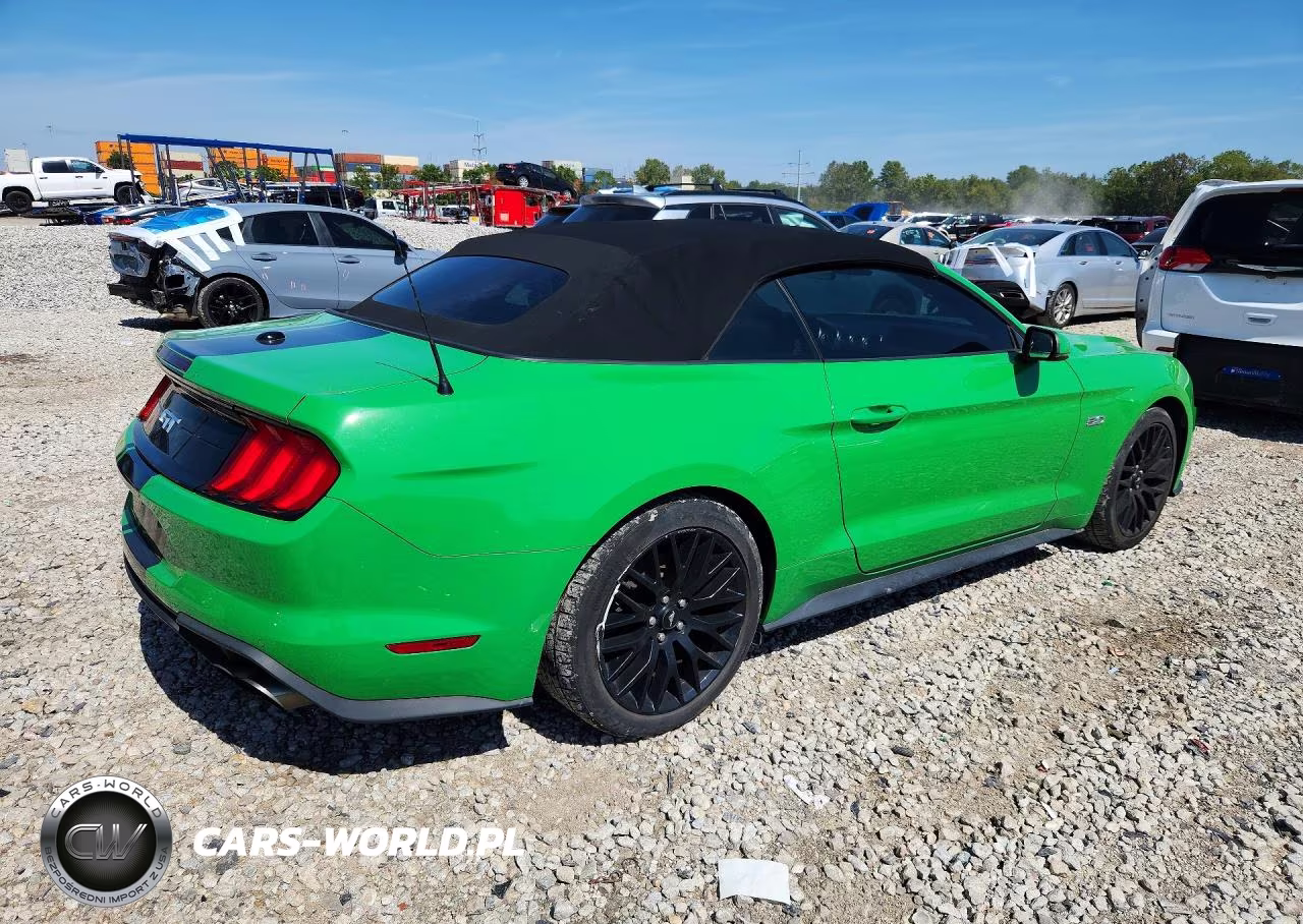 2019 Ford Mustang Gt VIN:1FATP8FF9K5186877 - 3