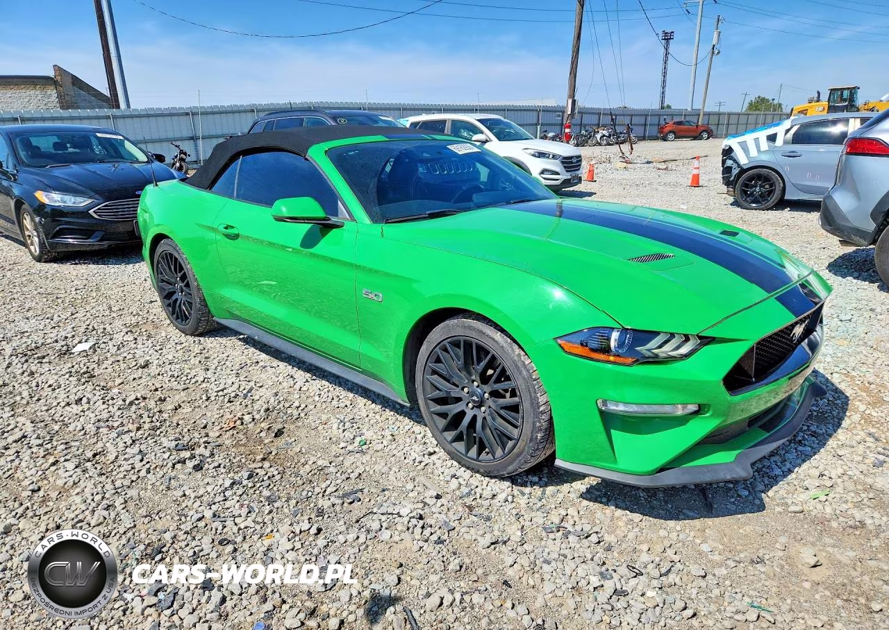 2019 Ford Mustang Gt VIN:1FATP8FF9K5186877 - 4