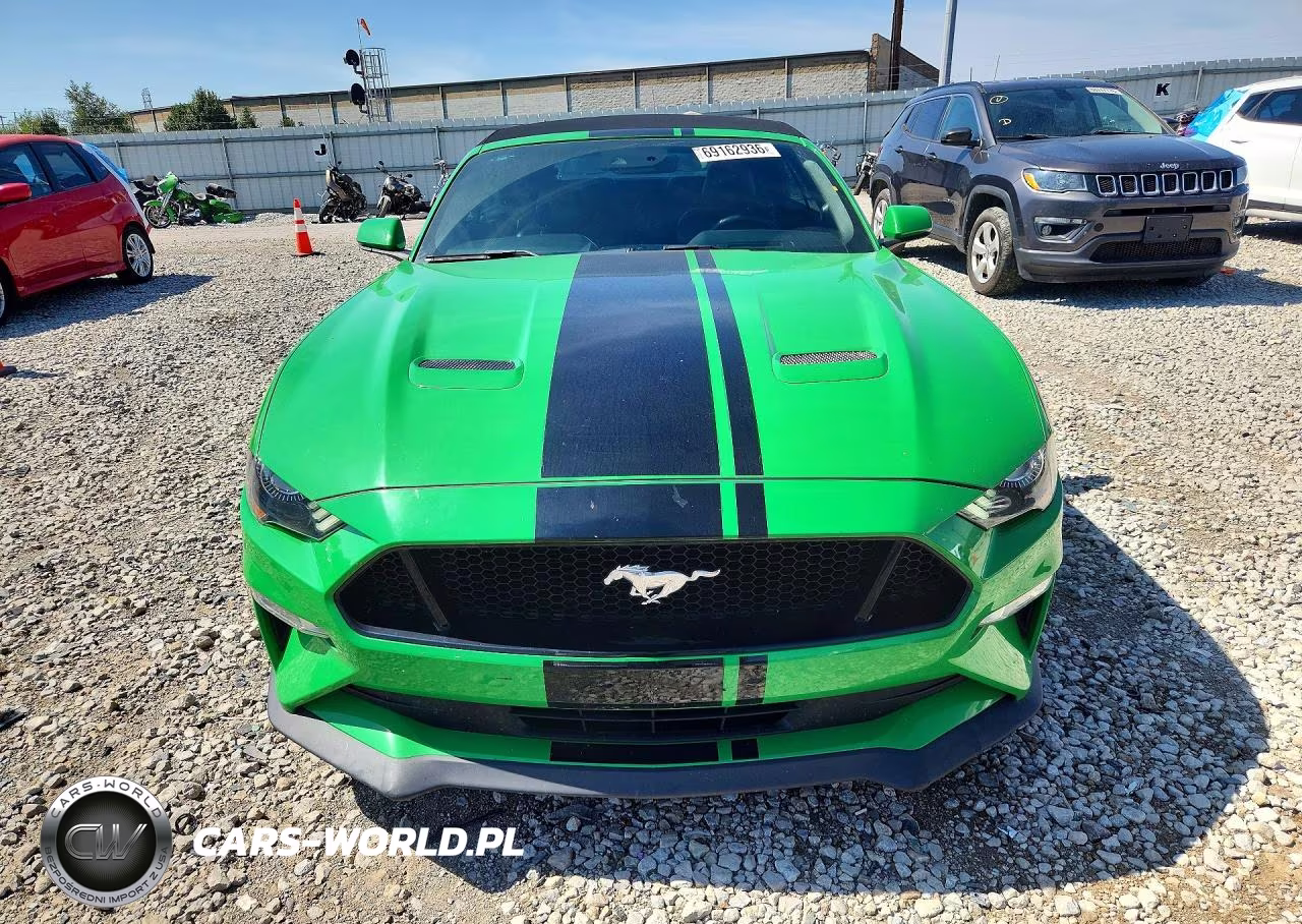 2019 Ford Mustang Gt VIN:1FATP8FF9K5186877 - 5