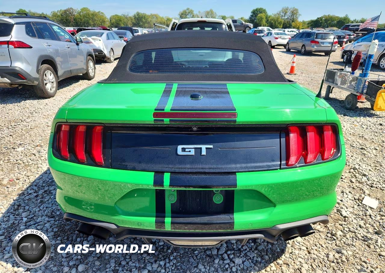 2019 Ford Mustang Gt VIN:1FATP8FF9K5186877 - 6