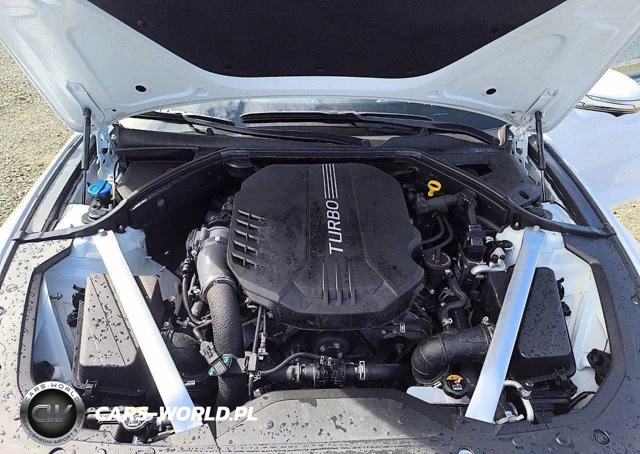 2023 Genesis G70 3.3T Standard VIN:KMTG54TE6PU135583 - 13