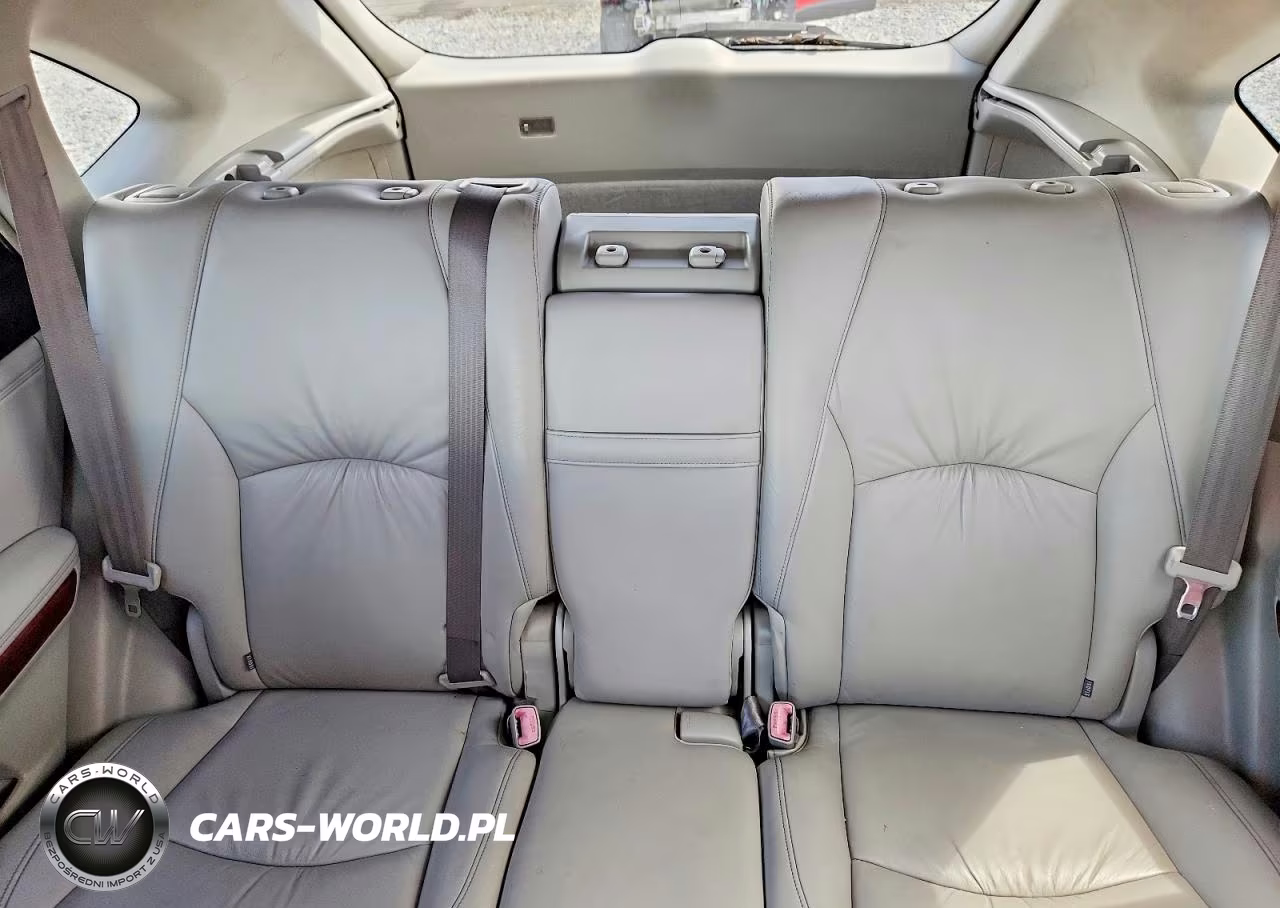 2004 Lexus Rx 330 VIN:JTJGA31U940003609 - 10